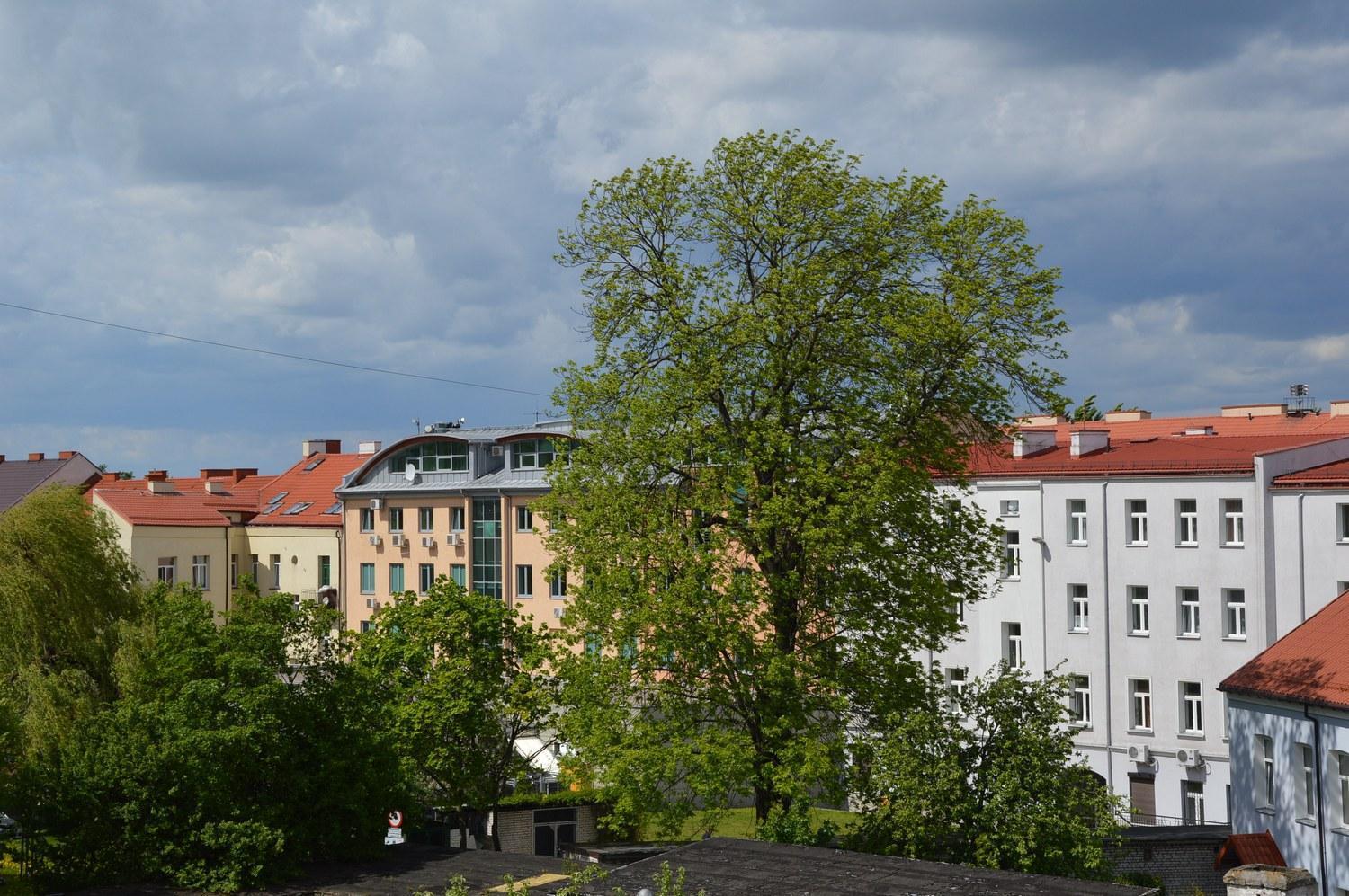 Pokoje Goscinne Centrum Kultury Prawoslawnej Bialystok Luaran gambar
